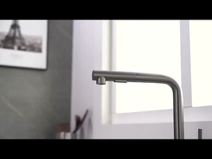 Faucet кухни спрейера Одно-ручки SUS304 опрокинутый с 2 функцией Sprayhead