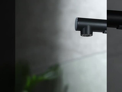 Вытяните вниз Faucet кухни